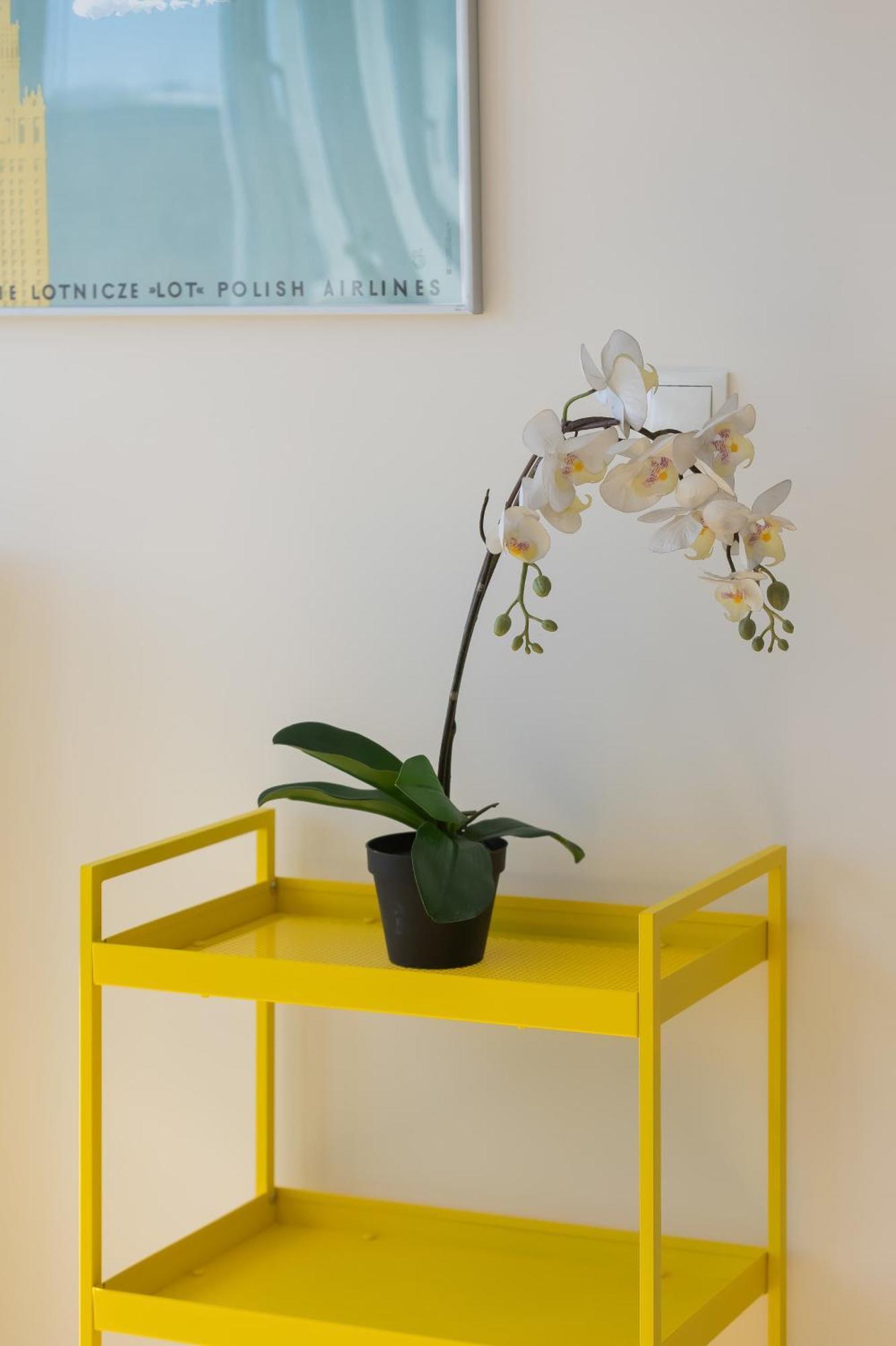 Bright Cityview With Ac Near Pge Narodowy By Renters *